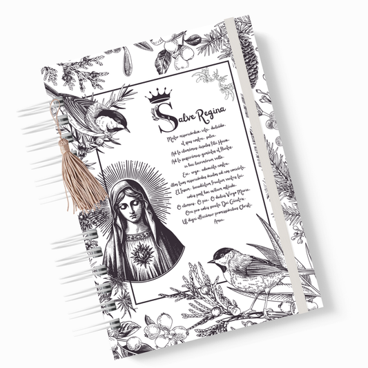 Caderno Splendor Fidei Salve Rainha em Latim